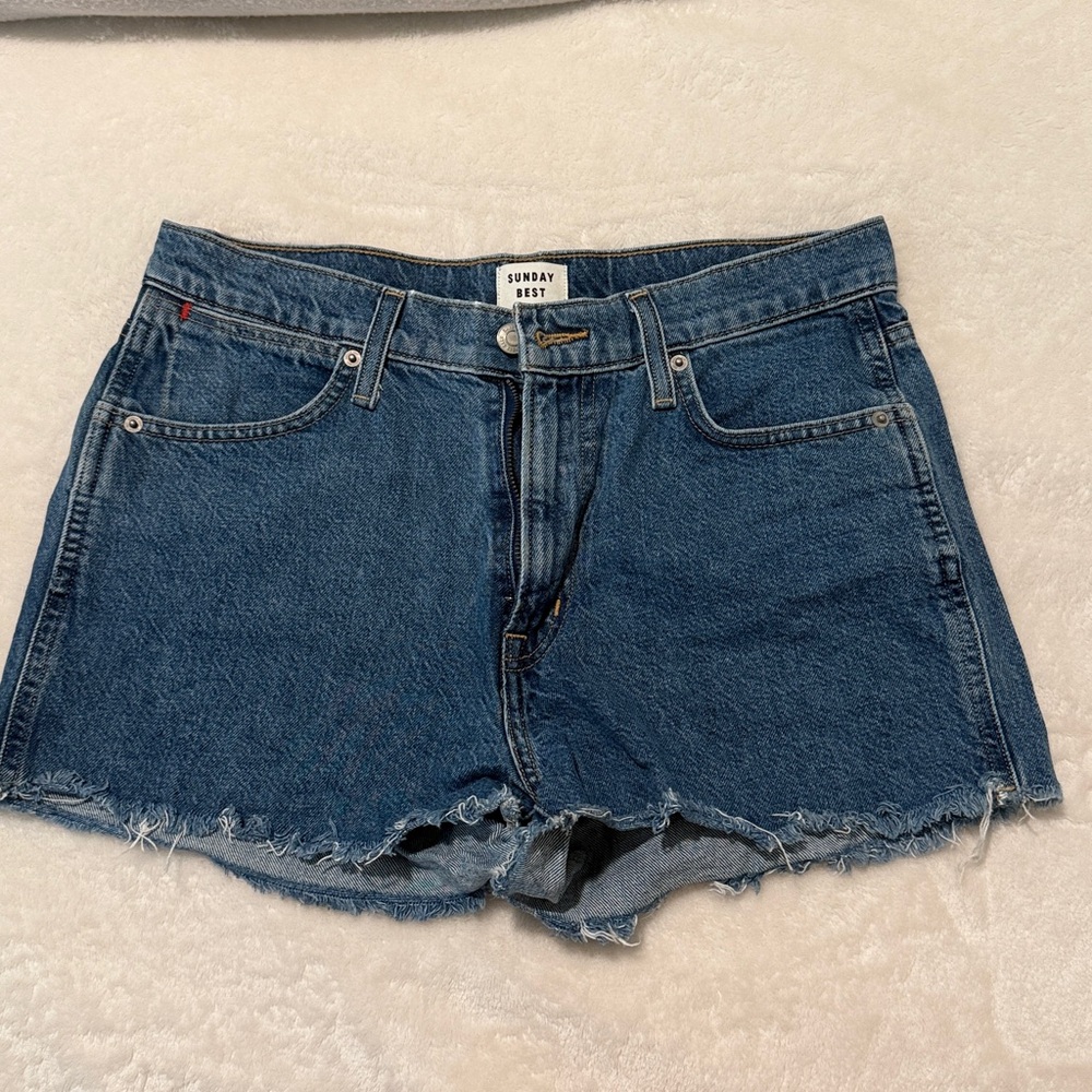 Aritzia Sunday Best Classic Blue Denim Shorts